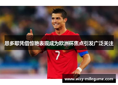 恩多耶凭借惊艳表现成为欧洲杯焦点引发广泛关注